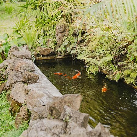 Sweet Orange Pondok Ubud Buitenkant foto