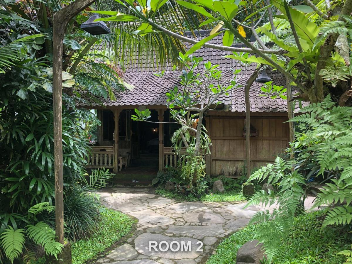Sweet Orange Pondok Ubud Buitenkant foto