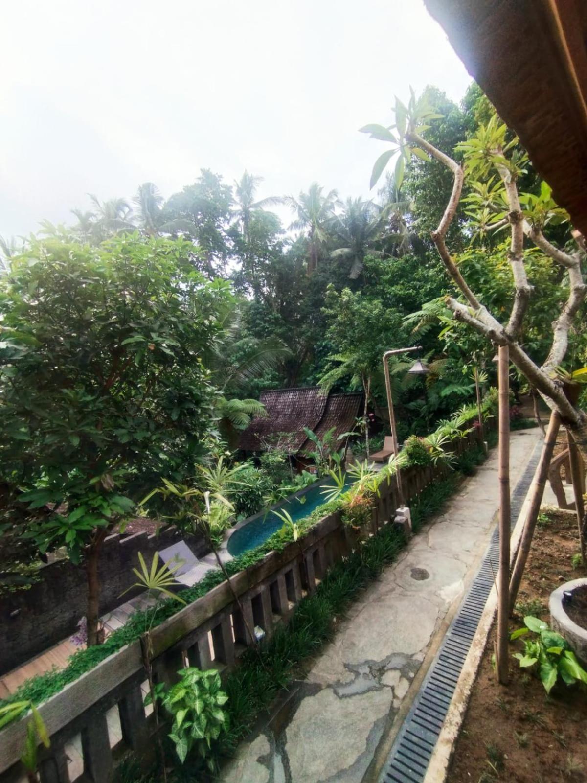 Sweet Orange Pondok Ubud Buitenkant foto